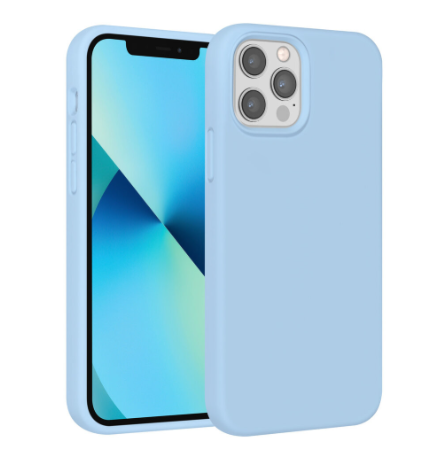 UNIQ Accessory Ümbris iPhone 12/ 12 Pro (helesinine)